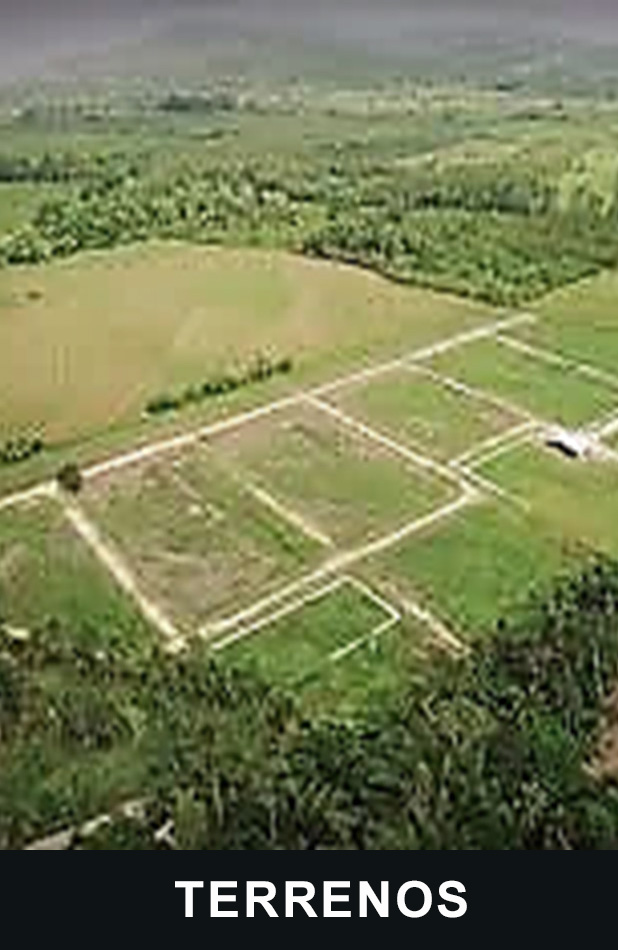 TERRENOS